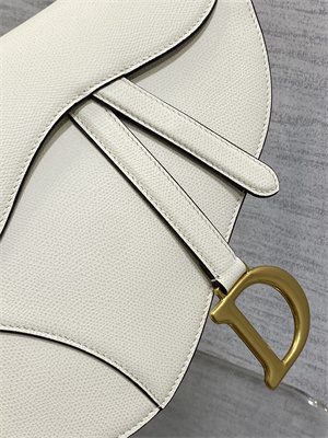CD Saddle Bag Grained Calfskin Latte Color