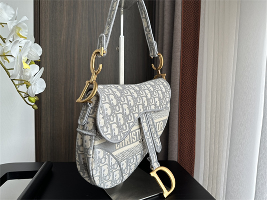CD Saddle Bag Oblique Embroidery Gray Color