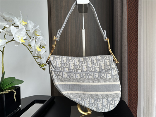 CD Saddle Bag Oblique Embroidery Gray Color