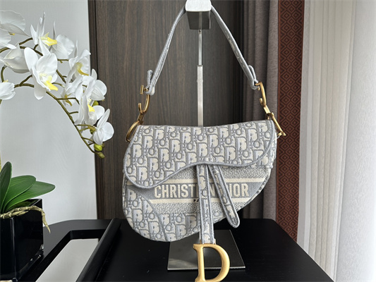 CD Saddle Bag Oblique Embroidery Gray Color