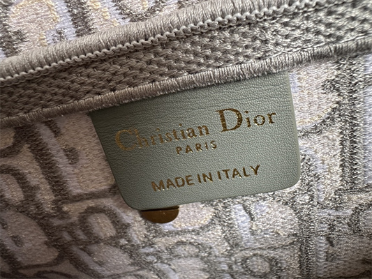 CD Saddle Bag Oblique Embroidery Gray Color