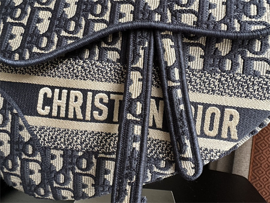 CD Saddle Bag Oblique Embroidery Blue Color