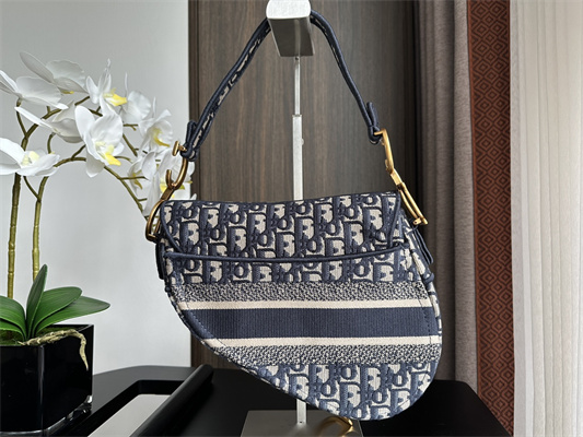 CD Saddle Bag Oblique Embroidery Blue Color