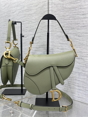 CD Saddle Bag Grained Calfskin Lt Green Color