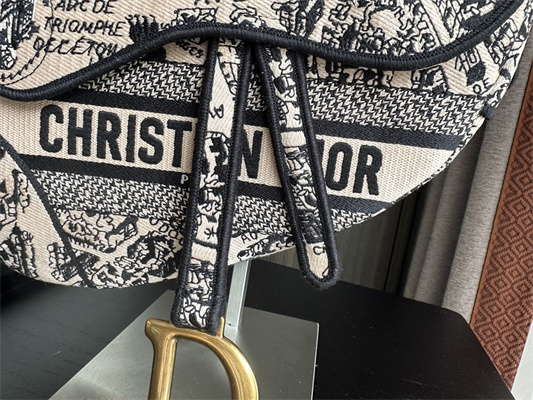 CD Saddle Bag Paris Map Embroidery Beige Color