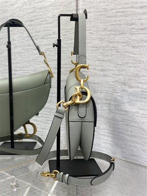 CD Saddle Bag Grained Calfskin Stone Grey Color