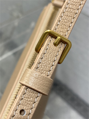 CD Saddle Shoulder Pouch Goatskin Biscuit Color 10002