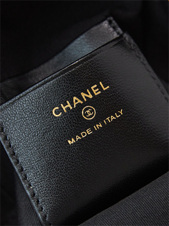 Cha.nel Mini Backpack Fabric With CC Printing Gold-Tone Metal Black AP3753