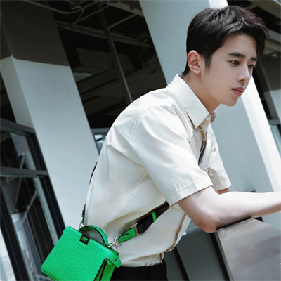 Fen.di Peekaboo ISeeU XCross Leather Bag Green Color