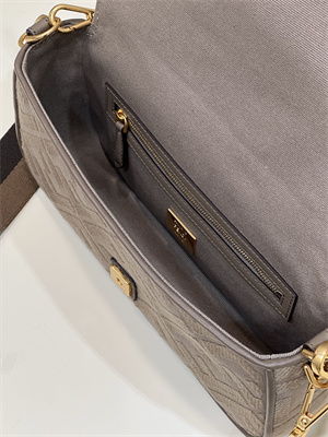 Fen.di BAGUETTE Dove Grey FF Canvas Bag