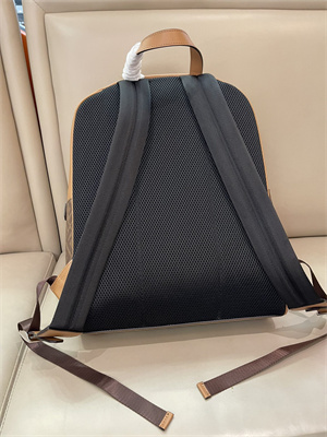 Fen.di Chiodo Diagonal Brown FF Canvas Backpack