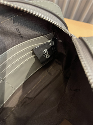 Fen.di DIAGONAL CAMERA CASE Lt Grey Multicolor Leather Bag