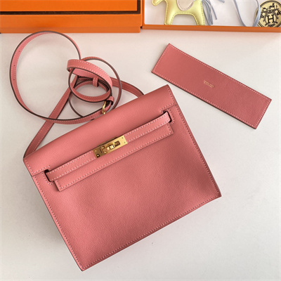 Kelly Danse Bag Evercolor Leather Gold Tone Metal In Rose Lipsur Color HS