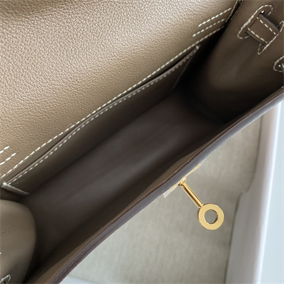 Kelly Danse Bag Evercolor Leather Gold Tone Metal In Etoupe Color HS