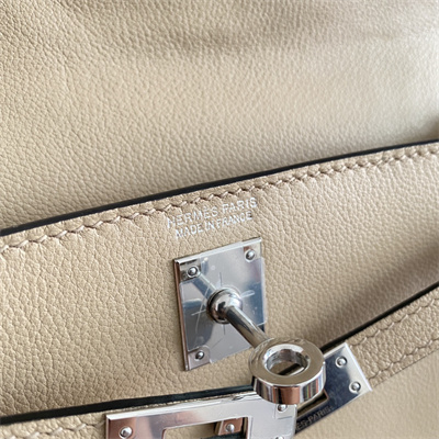 Kelly Danse Bag Evercolor Leather Silver Tone Metal In Trench Color HS