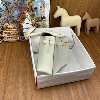 Kelly Danse Bag Evercolor Leather Gold Tone Metal In Craie Color HS