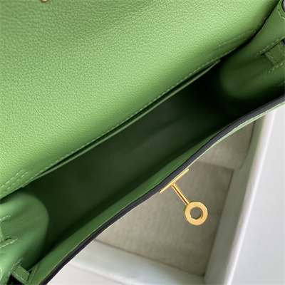 Kelly Danse Bag Evercolor Leather Gold Tone Metal In Vert Criquet Color HS