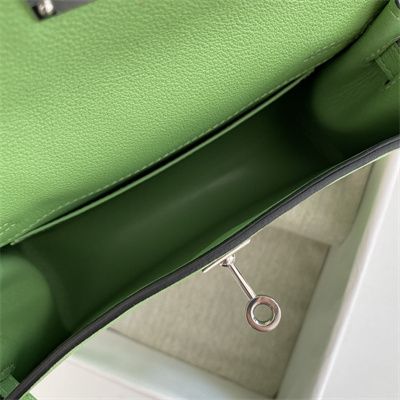 Kelly Danse Bag Evercolor Leather Silver Tone Metal In Vert Criquet Color HS
