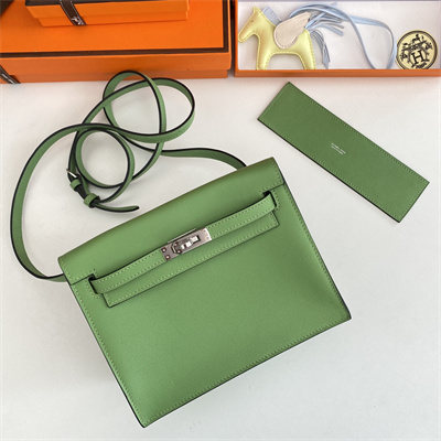 Kelly Danse Bag Evercolor Leather Silver Tone Metal In Vert Criquet Color HS