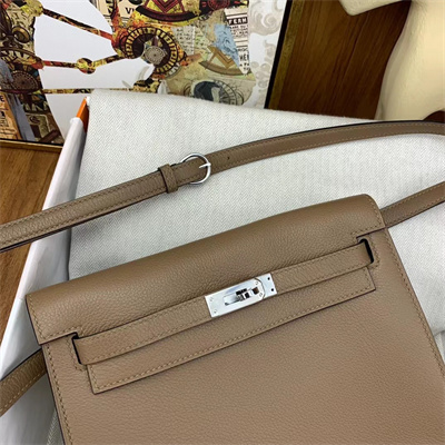 Kelly Danse Bag Evercolor Leather Silver Tone Metal In Beige de Weimer Color HS