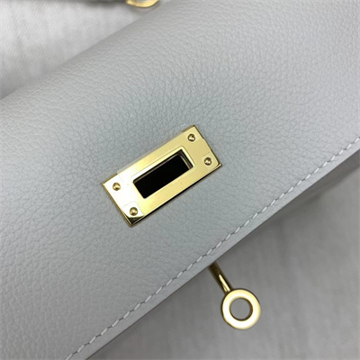 Kelly Danse Bag Evercolor Leather Gold Tone Metal In Pearl Grey Color HS
