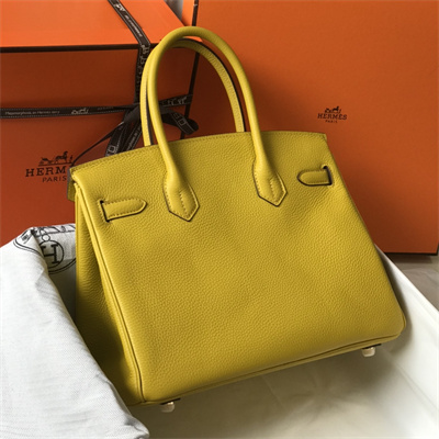 Bir.kin Bag Calfskin Leather 25/30/35CM Gold/Silver Hardware In Jaune Amber Color