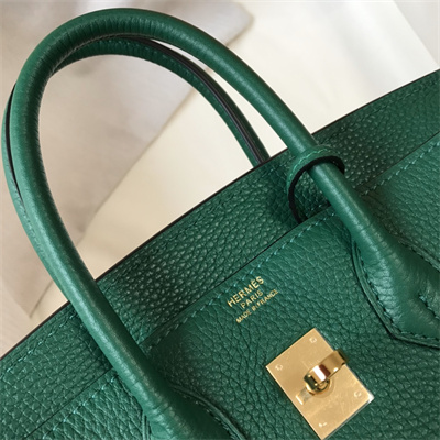 Bir.kin Bag Calfskin Leather 25/30/35CM Gold/Silver Hardware In Vert Vertigo Color