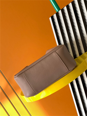 Y.S.L LE 5 A 7 Supple SMALL HOBO BAG In Dk Beige Leather