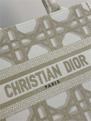 CD Small Book Tote White and Gold Tone Macrocannage Embroidery