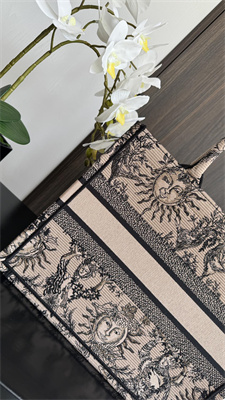 CD Medium Book Tote Beige and Black Toile de Jouy Solei Embroidery