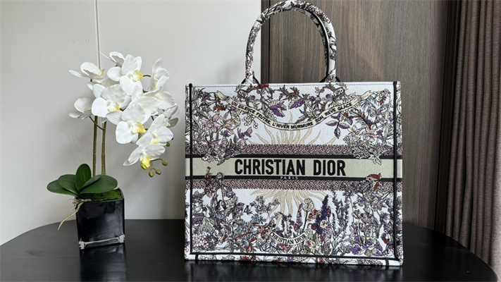 CD Large Book Tote Ecru Multicolor Di.or 4 Saisons Hiver Soleil Embroidery