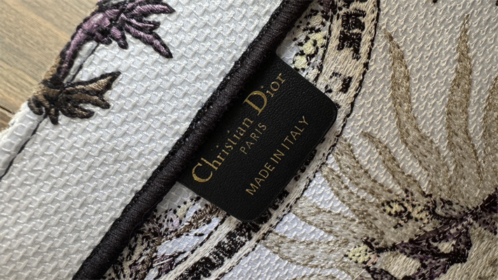 CD Medium Book Tote Ecru Multicolor Di.or 4 Saisons Hiver Soleil Embroidery