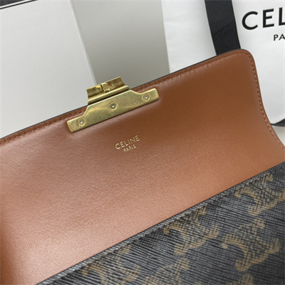 Celine Chain Shoulder Bag Claude In Triomphe Canvas Tan