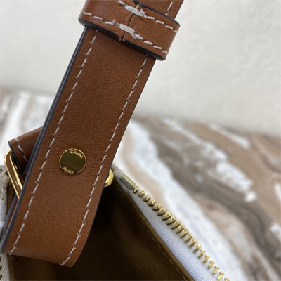 Celine AVA Bag In Triomphe Canvas and Calfskin White