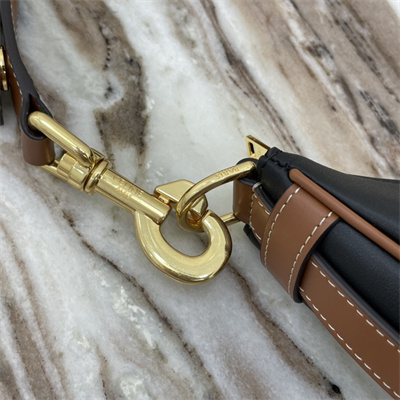 Celine Medium AVA Strap Bag In Smooth Calfskin Black