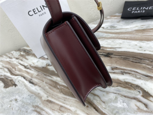 Celine Teen Classic Box Bag In Bordeaux Box Calfskin Leather