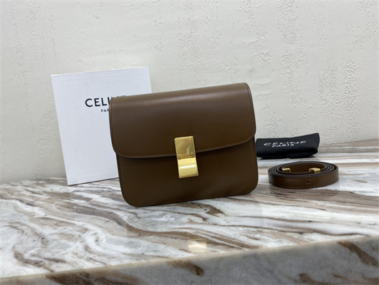Celine Teen Classic Box Bag In Brown Box Calfskin Leather