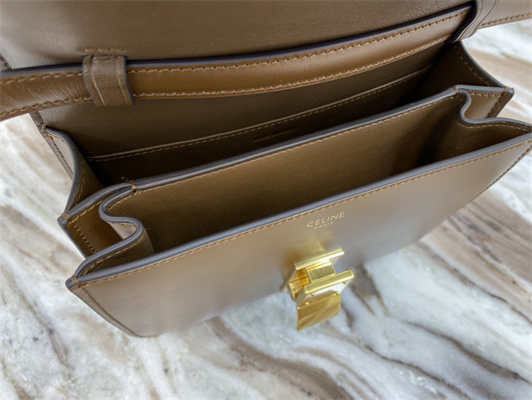 Celine Teen Classic Box Bag In Brown Box Calfskin Leather