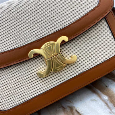 Celine Classique Triomphe Bag In Textile and Calfskin Nature/Tan