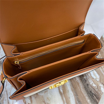 Celine Classique Triomphe Bag In Textile and Calfskin Nature/Tan