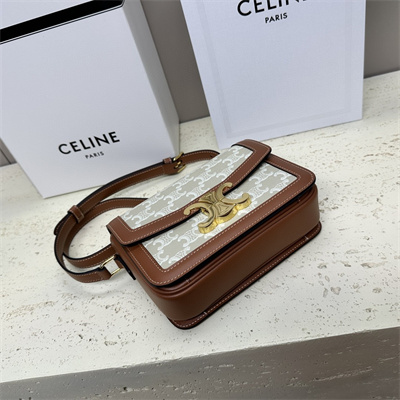 Celine Classique Triomphe Bag In Triomphe Canvas and Calfskin White