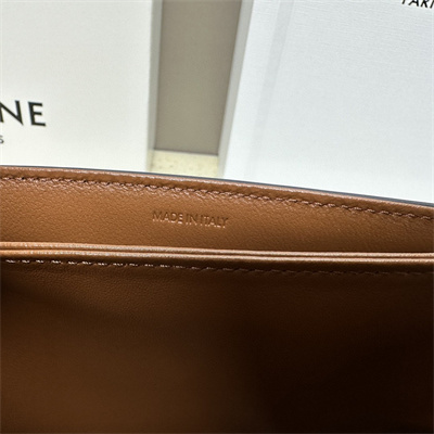 Celine Classique Triomphe Bag In Triomphe Canvas and Calfskin White