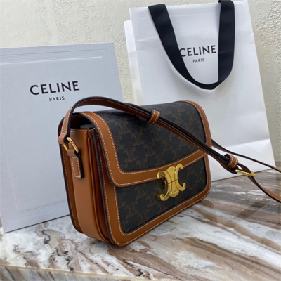 Celine Classique Triomphe Bag In Triomphe Canvas and Calfskin Tan