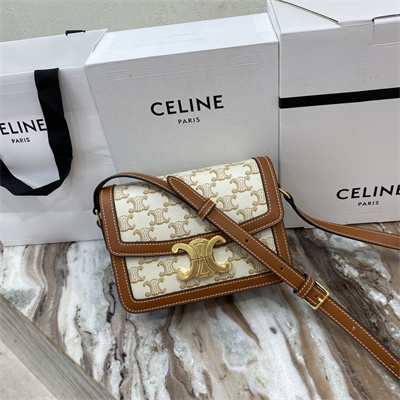 Celine Teen Triomphe Bag In Triomphe Canvas and Calfskin White