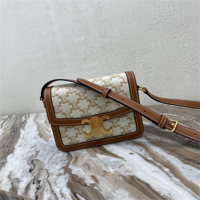 Celine Teen Triomphe Bag In Triomphe Canvas and Calfskin White