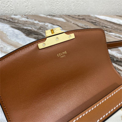 Celine Teen Triomphe Bag In Triomphe Canvas and Calfskin White