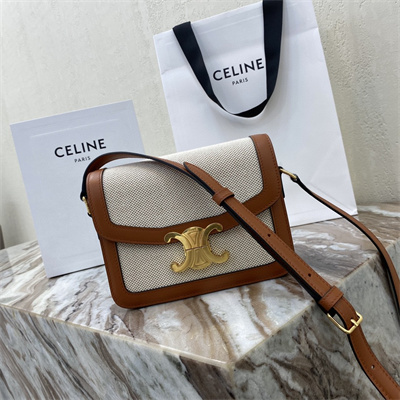 Celine Teen Triomphe Bag In Textile  and Calfskin Nature/Tan
