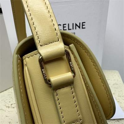 Celine Teen Triomphe Bag In Shiny Calfskin Pollen Color