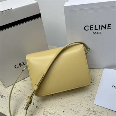 Celine Teen Triomphe Bag In Shiny Calfskin Pollen Color