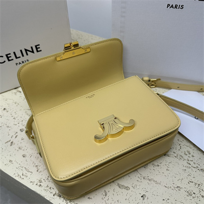 Celine Teen Triomphe Bag In Shiny Calfskin Pollen Color